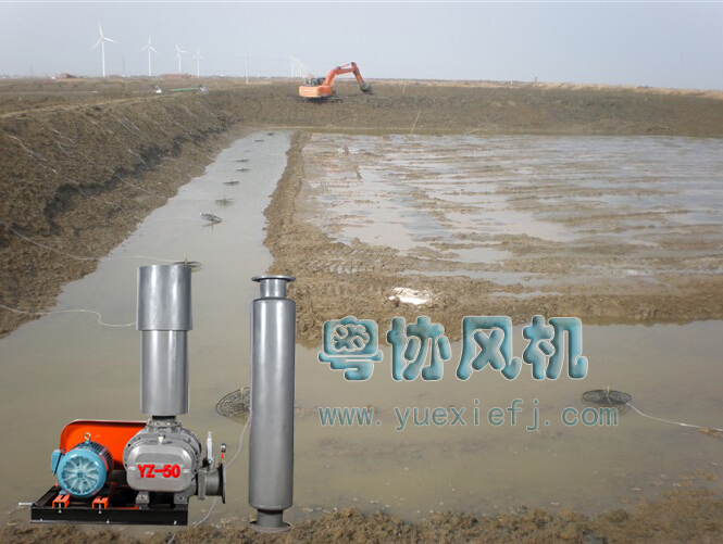 羅茨風(fēng)機 羅茨風(fēng)機