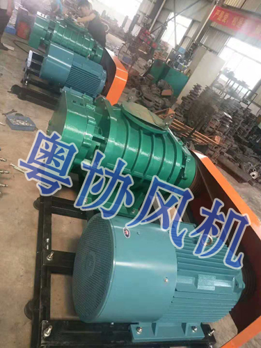珠海羅茨風機 珠海羅茨風機