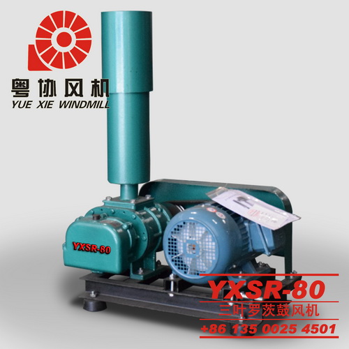 深圳羅茨鼓風(fēng)機(jī)