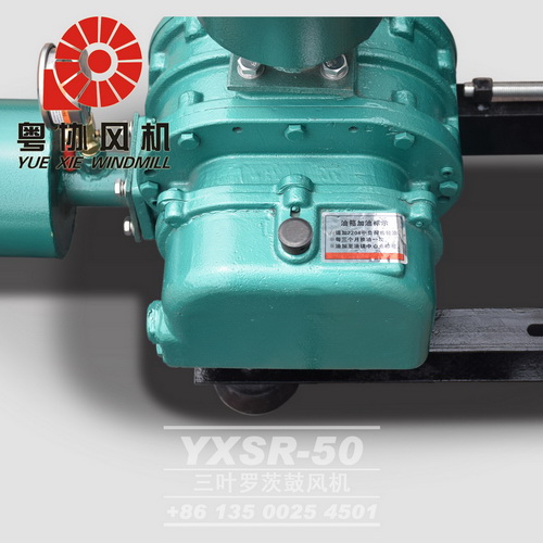 德協(xié)羅茨鼓風(fēng)機(jī) 德協(xié)羅茨鼓風(fēng)機(jī)