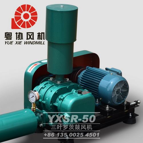 湛江羅茨風(fēng)機(jī) 湛江羅茨風(fēng)機(jī)