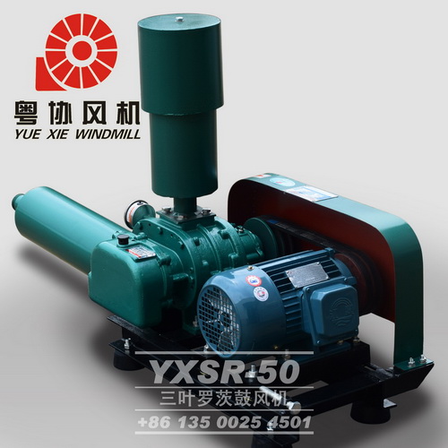 羅茨鼓風(fēng)機(jī)生產(chǎn)商 羅茨鼓風(fēng)機(jī)生產(chǎn)商