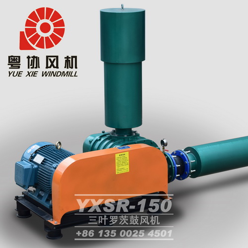 污水處理羅茨鼓風(fēng)機 污水處理羅茨鼓風(fēng)機