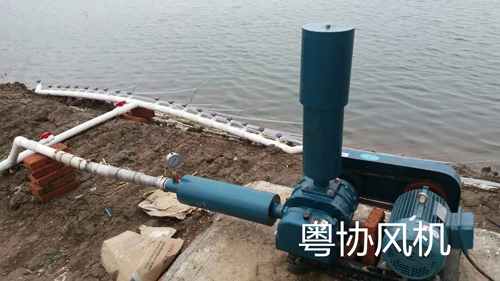 曝氣羅茨風(fēng)機(jī) 曝氣羅茨風(fēng)機(jī)