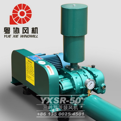 增氧羅茨風(fēng)機