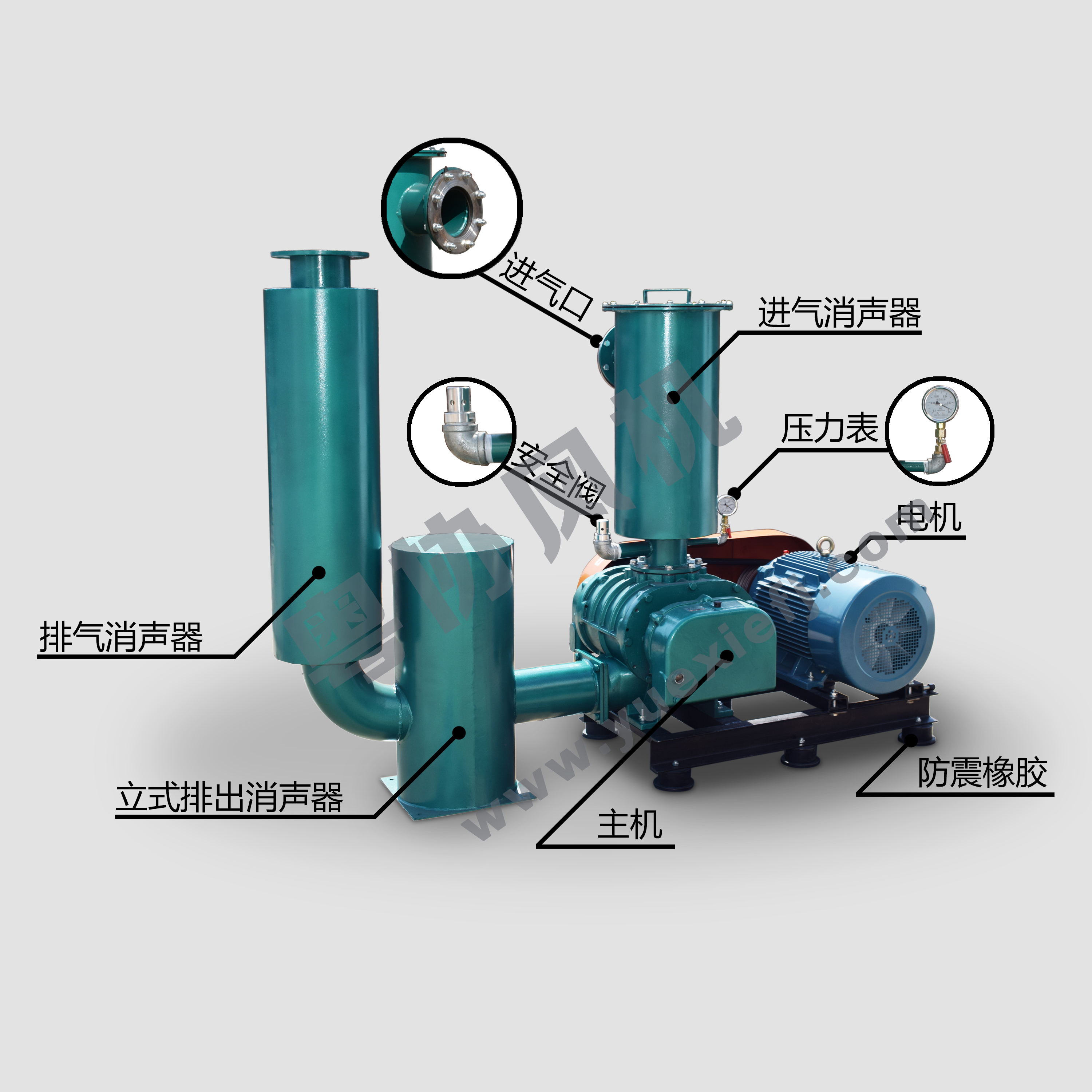 雙油箱羅茨風(fēng)機(jī) 雙油箱羅茨風(fēng)機(jī)