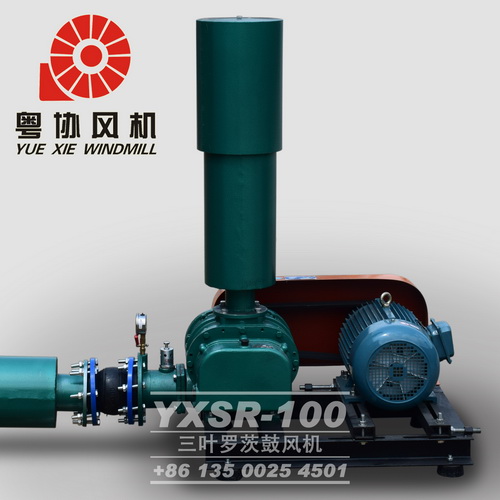 環(huán)保羅茨鼓風(fēng)機 環(huán)保羅茨鼓風(fēng)機