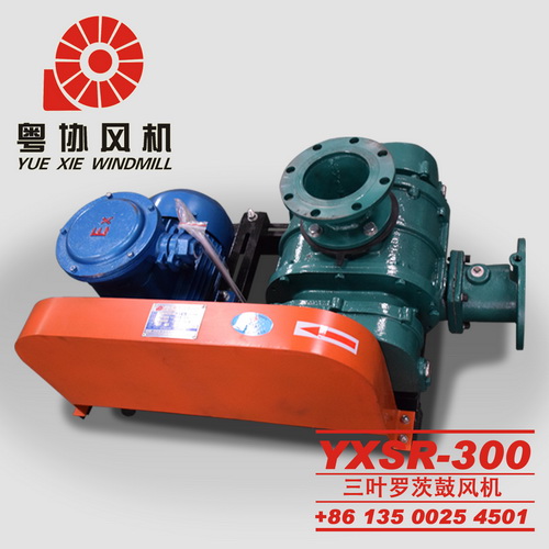 污水曝氣羅茨風(fēng)機(jī) 污水曝氣羅茨風(fēng)機(jī)