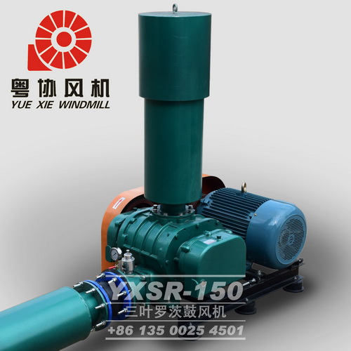 廣東羅茨鼓風(fēng)機(jī)價格 廣東羅茨鼓風(fēng)機(jī)價格