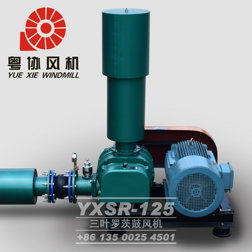 污水處理羅茨風(fēng)機(jī) 污水處理羅茨風(fēng)機(jī)