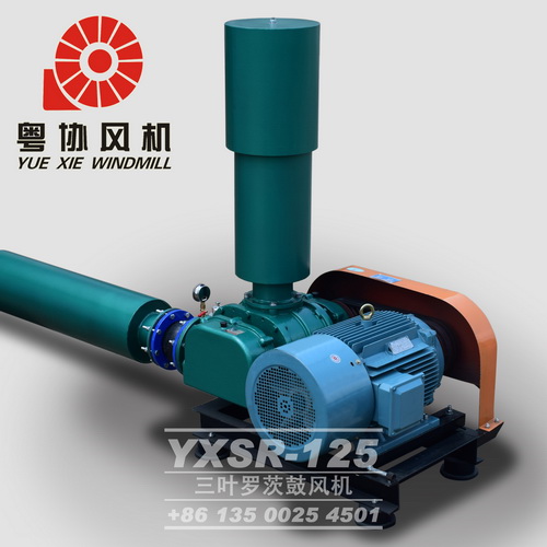 環(huán)保羅茨鼓風機 環(huán)保羅茨鼓風機