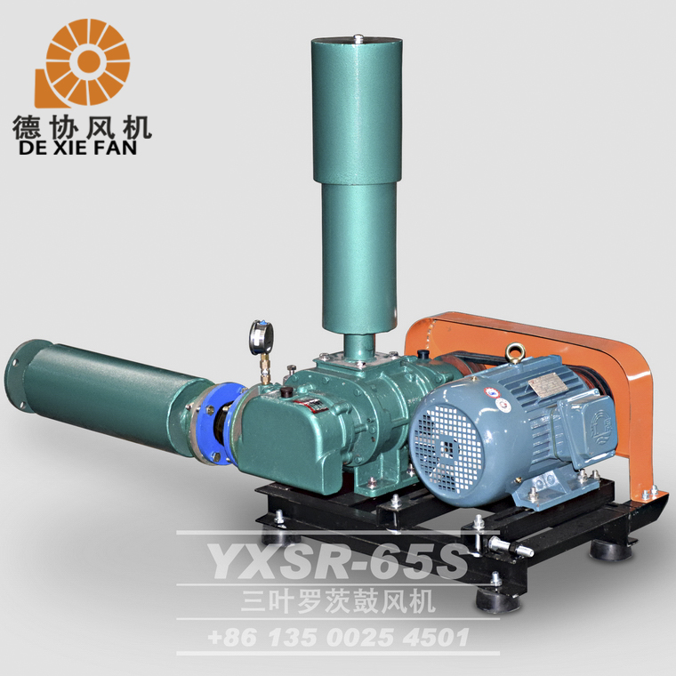 羅茨鼓風(fēng)機(jī) 羅茨鼓風(fēng)機(jī)