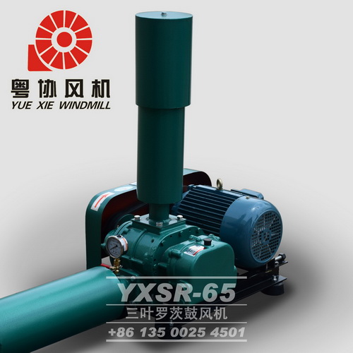 廣州三葉羅茨風(fēng)機(jī)價(jià)格 廣州三葉羅茨風(fēng)機(jī)價(jià)格