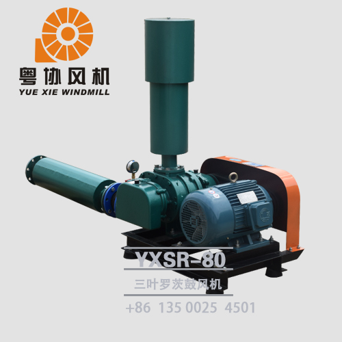 惠州三葉羅茨風(fēng)機價格 惠州三葉羅茨風(fēng)機價格