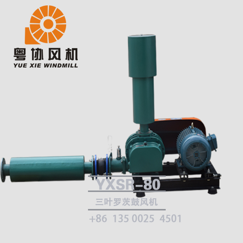 三葉羅茨鼓風(fēng)機(jī)定制 三葉羅茨鼓風(fēng)機(jī)定制