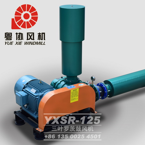 清遠(yuǎn)三葉羅茨鼓風(fēng)機(jī) 清遠(yuǎn)三葉羅茨鼓風(fēng)機(jī)