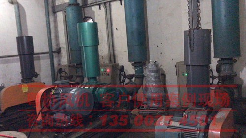 污水處理羅茨風(fēng)機(jī) 污水處理羅茨風(fēng)機(jī)