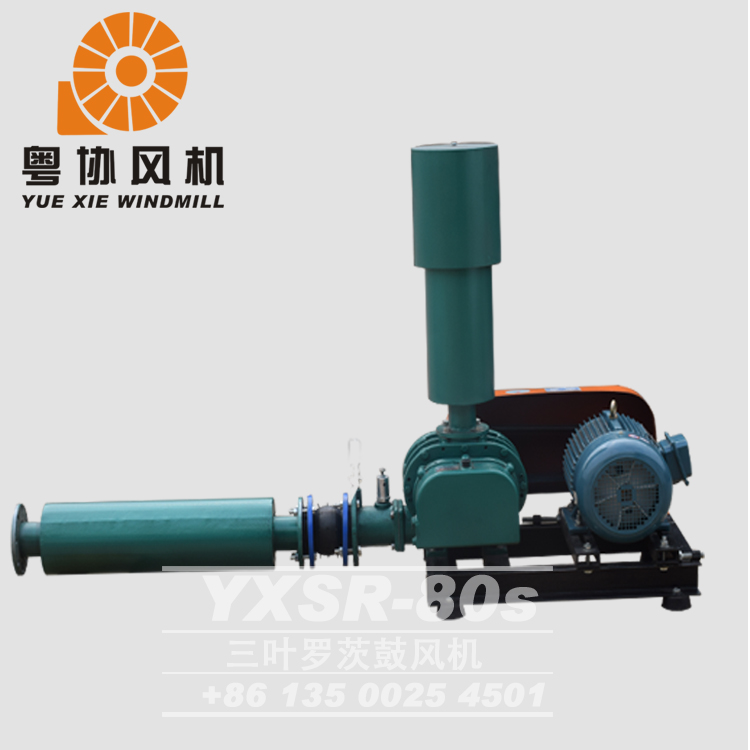 肇慶三葉式羅茨風(fēng)機(jī) 肇慶三葉式羅茨風(fēng)機(jī)