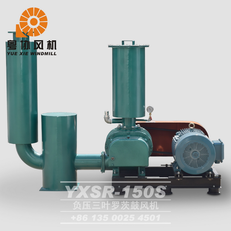 廣東負(fù)壓羅茨風(fēng)機