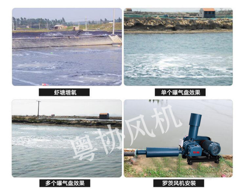 養(yǎng)殖風(fēng)機(jī) 養(yǎng)殖風(fēng)機(jī)