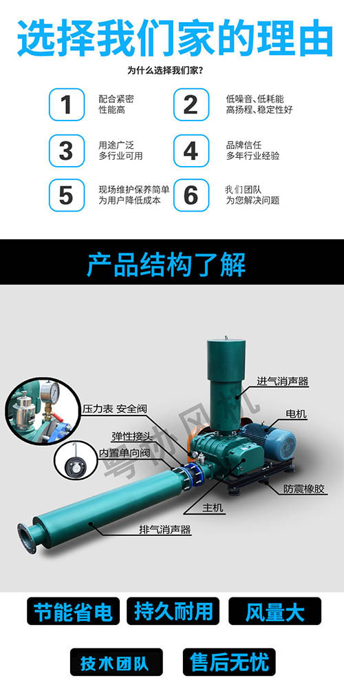 羅茨風(fēng)機(jī)廠家 羅茨風(fēng)機(jī)廠家