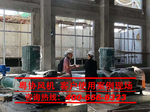 污水廠用羅茨風(fēng)機(jī)現(xiàn)場案例