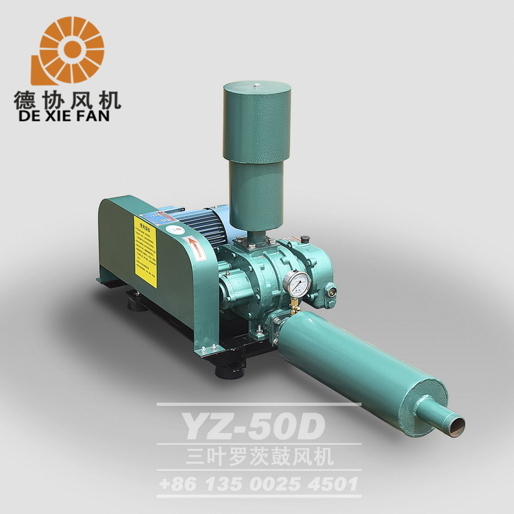 惠州魚(yú)塘增氧羅茨風(fēng)機(jī)生產(chǎn)廠家 惠州魚(yú)塘增氧羅茨風(fēng)機(jī)生產(chǎn)廠家