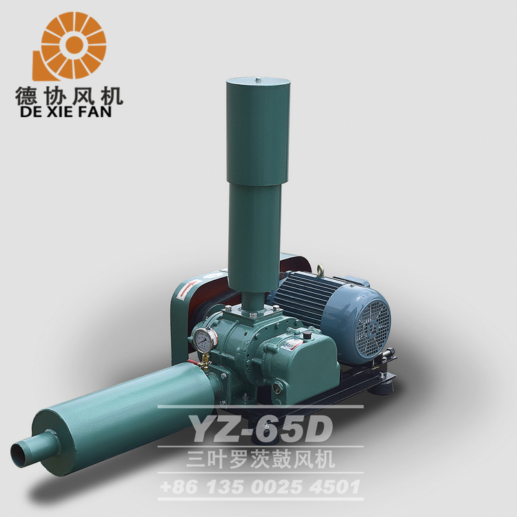 水產(chǎn)養(yǎng)殖羅茨風(fēng)機(jī)