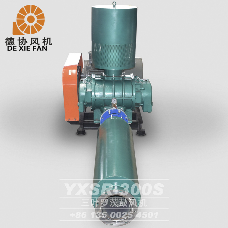 YXSR-300羅茨風(fēng)機(jī) YXSR-300羅茨風(fēng)機(jī)