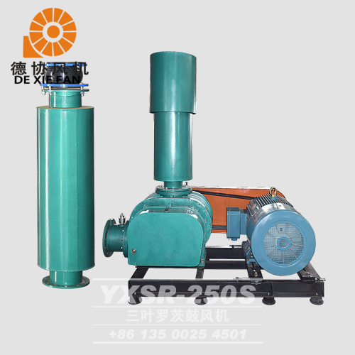 YXSR-250羅茨風(fēng)機(jī)